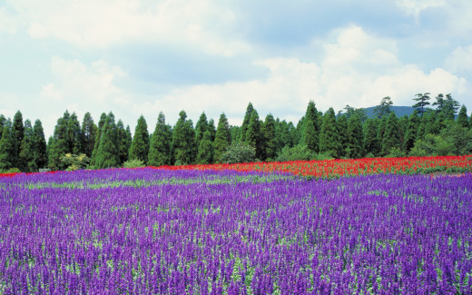475696 (a): :1440x900